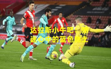 达拉斯小牛吧：球迷心中的蓝色热土