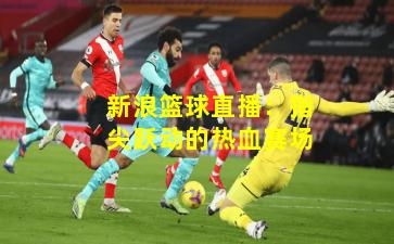 新浪篮球直播:指尖跃动的热血赛场