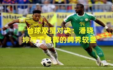 台球双星对决：潘晓婷与丁俊晖的跨界较量